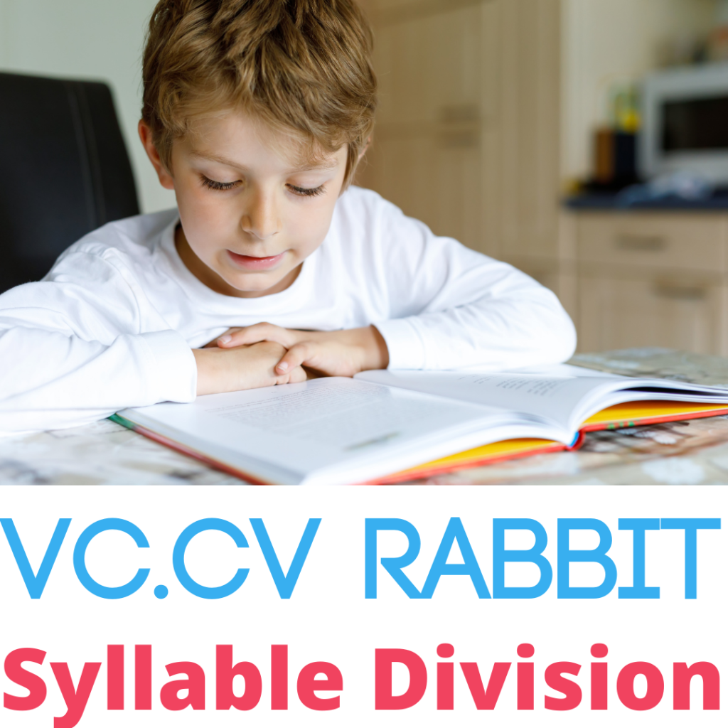 vccv rabbit