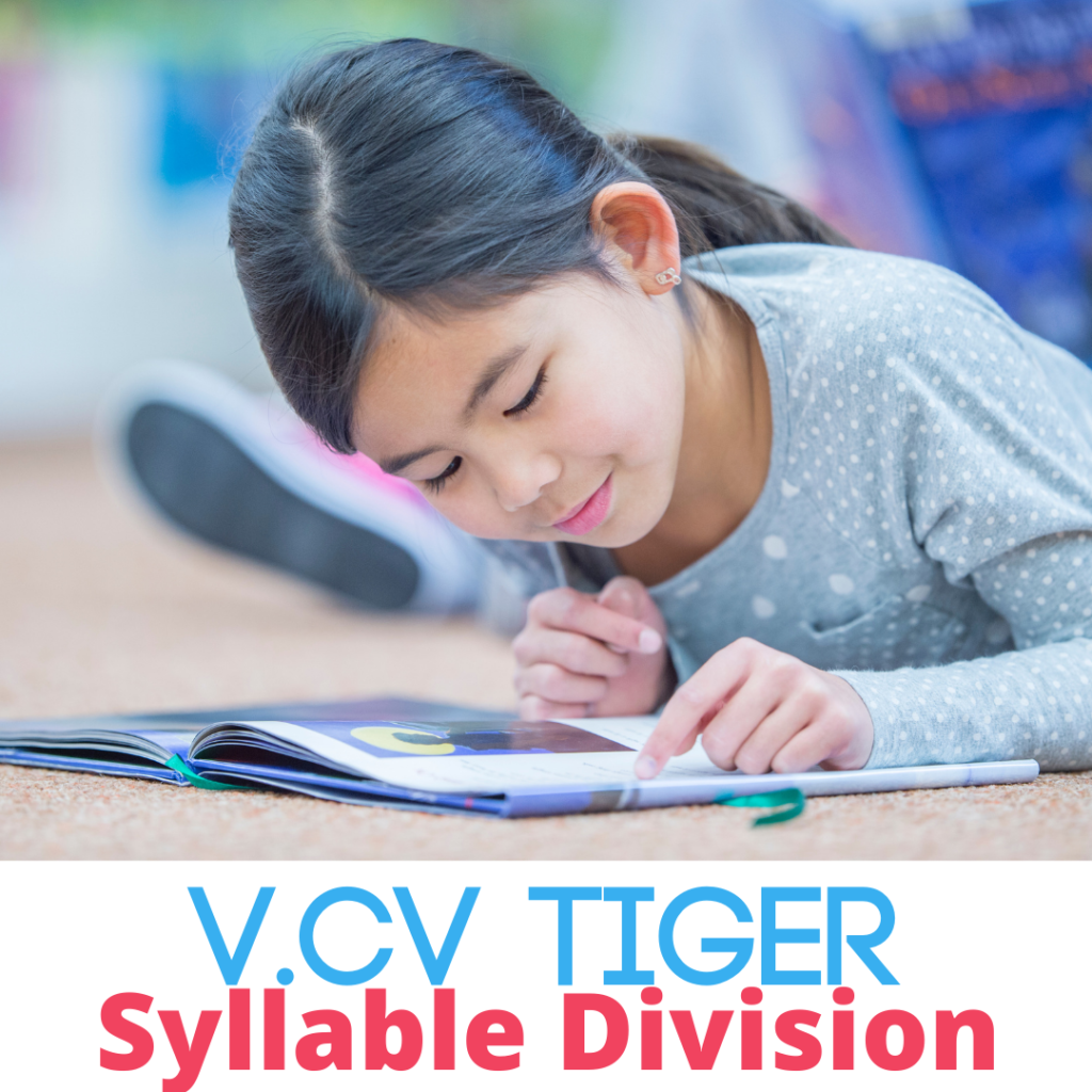 VCV syllable division tiger