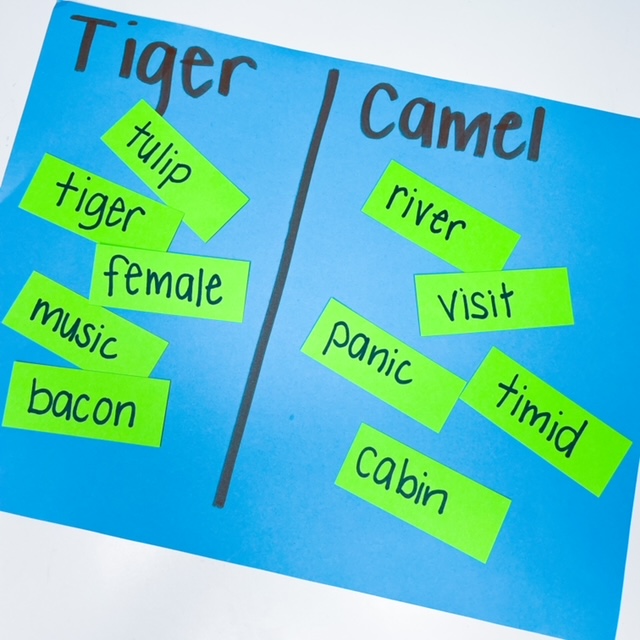 camel tiger word sort